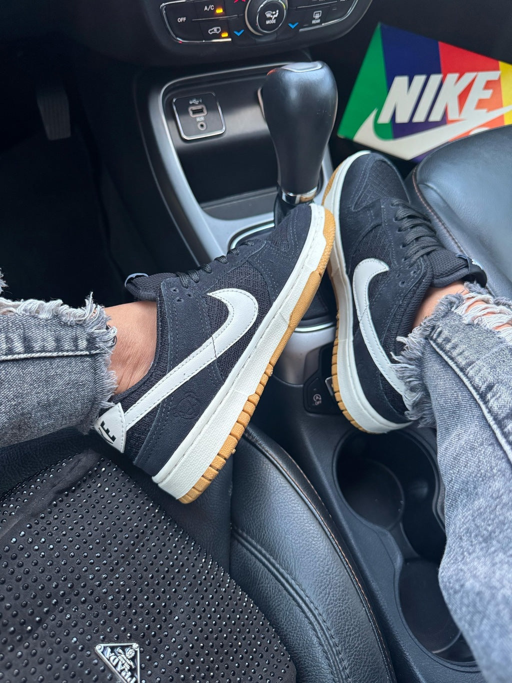 Tênis Nike Dunk Low Preto Teddy Bear